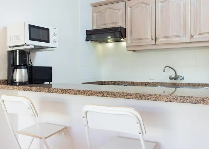 Okstay Albatros Apto Con Piscina Tenerife 公寓 圣米格尔德阿沃纳